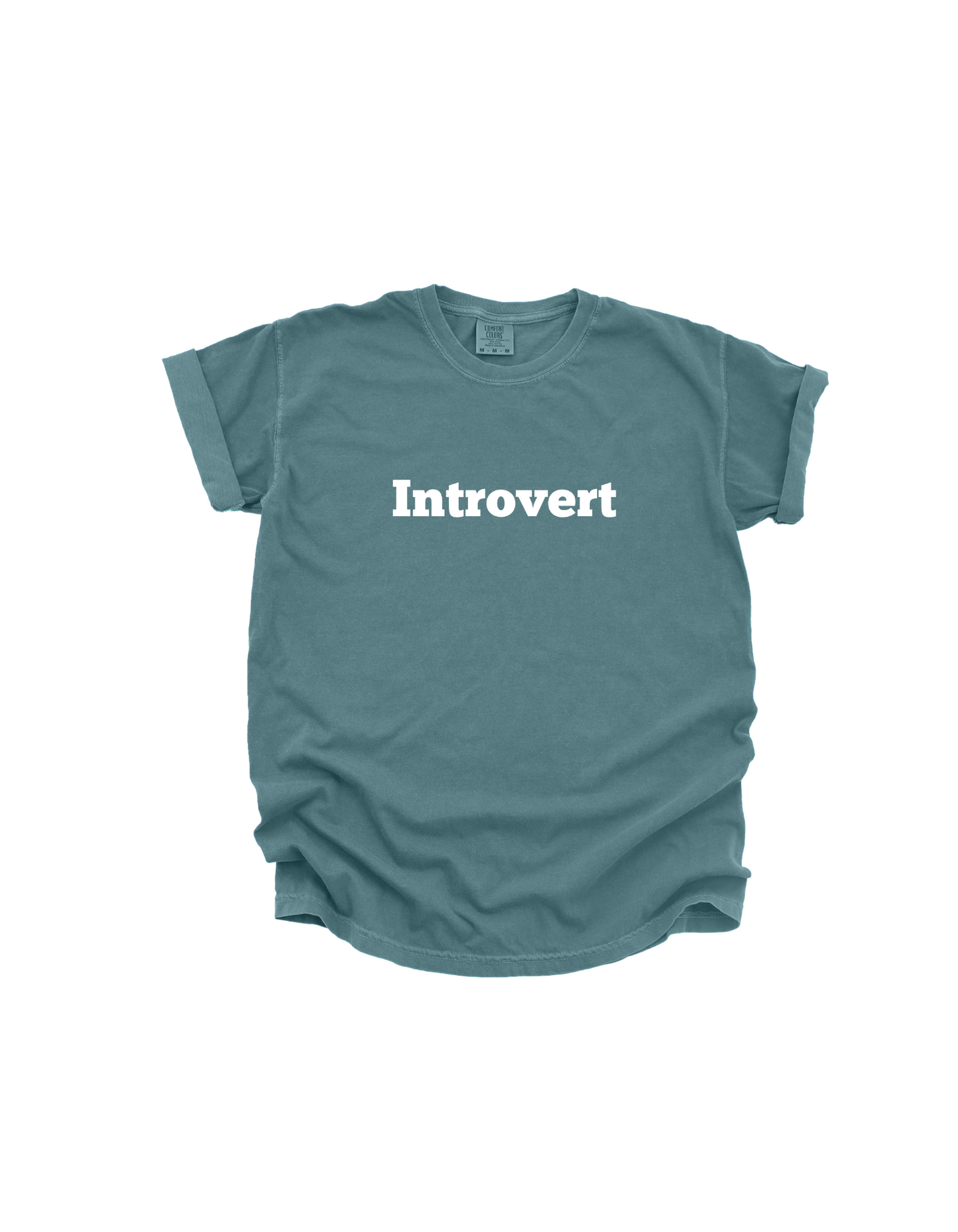 Introvert T-Shirt